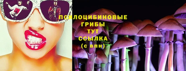 герыч Мегион