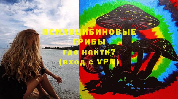 герыч Мегион