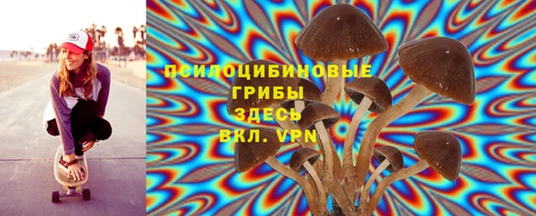 герыч Мегион