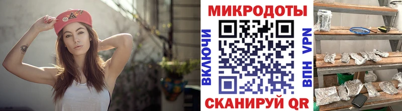 Псилоцибиновые грибы Psilocybine cubensis  Североуральск 