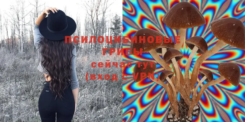 Галлюциногенные грибы Cubensis  Североуральск 