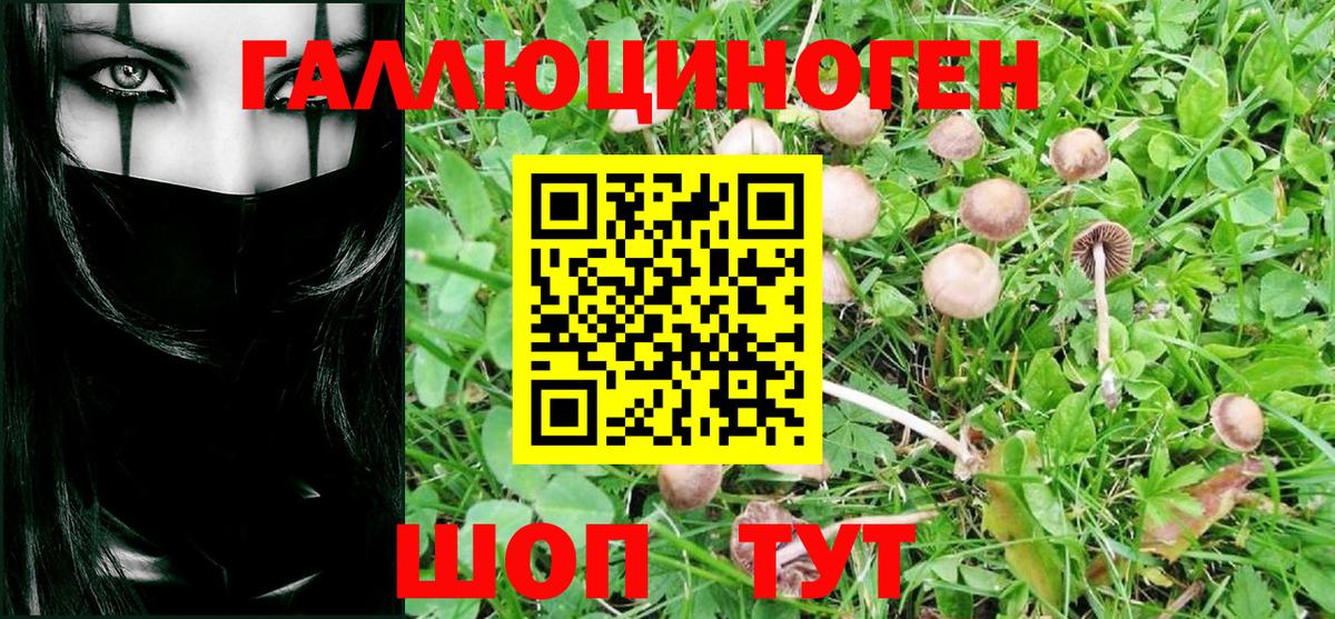 Североуральск  Галлюциногенные грибы Psilocybe  Вход с VPN 